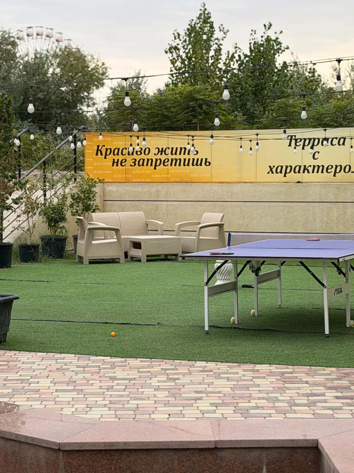 BAZA LOUNGE